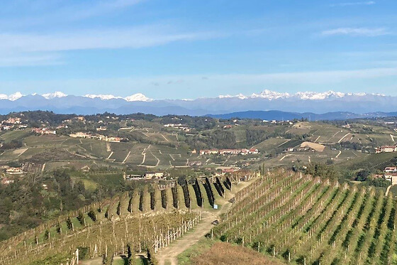 Visita della cantina e degustazione di vini presso Cantina Fabrizio Battaglino in provincia di Cuneo