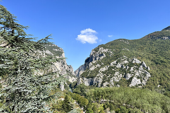 Don Merlino SRL- La Forestale Luxury Ecolodge - photo 2