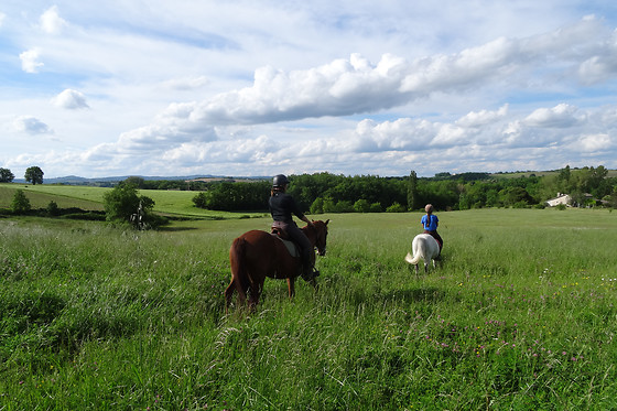 Un Poney, une histoire - photo 5