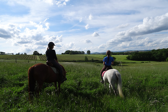 Un Poney, une histoire - photo 1