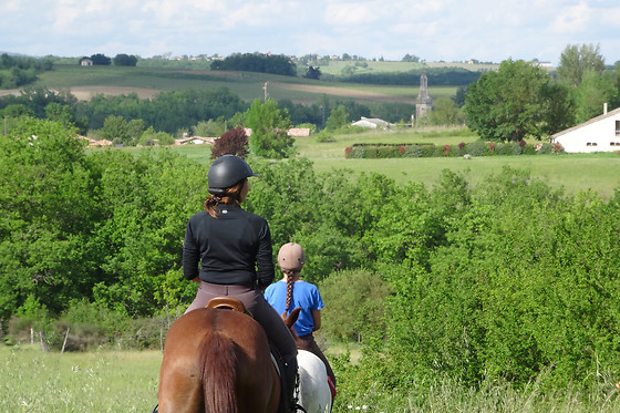 Un Poney, une histoire - photo 0