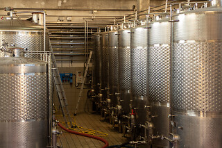 Visita alla cantina con degustazione presso Poderi di San Pietro in provincia di Milano
