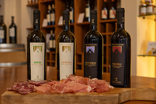 Visita alla cantina con degustazione presso Poderi di San Pietro in provincia di Milano