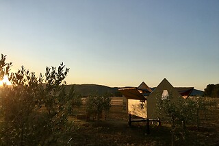 Soggiorno insolito di una notte in Starsbox presso Agricamping Spineta in provincia di Arezzo