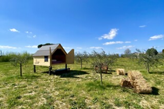 Soggiorno insolito di una notte in Starsbox presso Agricamping Spineta in provincia di Arezzo
