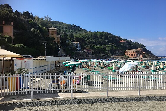 Online Booking EPS - photo 3