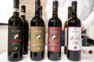Visita di vigneti e cantine con degustazione presso Tenuta De Lisio in provincia di Avellino
