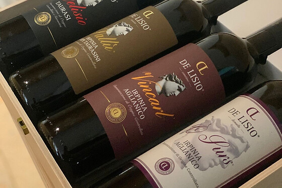 Visita di vigneti e cantine con degustazione presso Tenuta De Lisio in provincia di Avellino