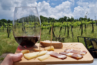 Visita di vigneti e cantine con degustazione presso Tenuta De Lisio in provincia di Avellino