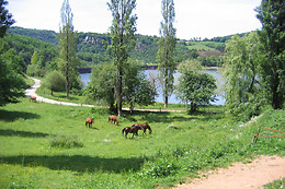 Ferme du Lac