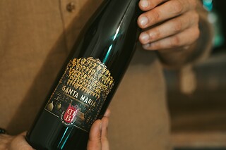 Visita dei vigneti con degustazione e bottiglie presso Marino Barani & Figli in provincia di Piacenza