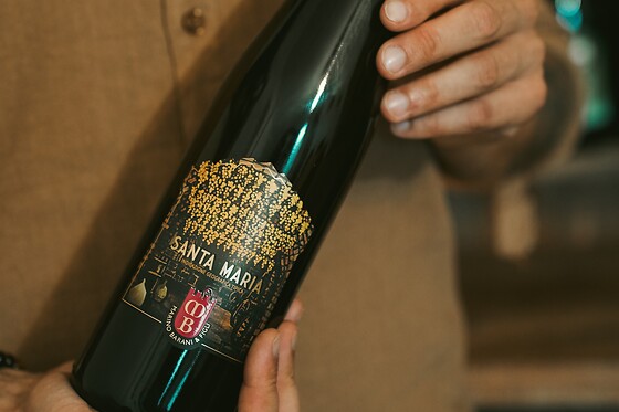 Visita dei vigneti con degustazione e bottiglie presso Marino Barani & Figli in provincia di Piacenza