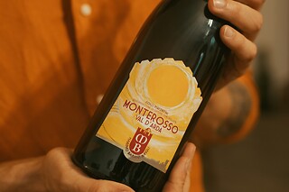 Visita dei vigneti con degustazione e bottiglie presso Marino Barani & Figli in provincia di Piacenza