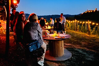 Visita dei vigneti con degustazione e bottiglie presso Marino Barani & Figli in provincia di Piacenza