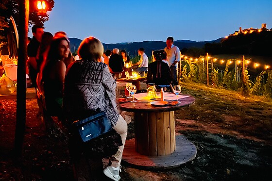 Visita dei vigneti con degustazione e bottiglie presso Marino Barani & Figli in provincia di Piacenza