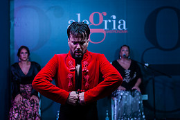 ALEGRÍA FLAMENCO Y GASTRONOMÍA