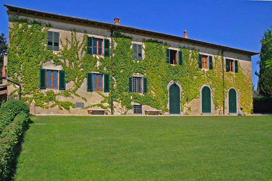 Società Agricola Casa Sola - photo 1