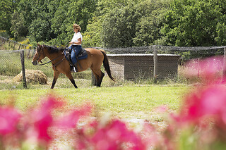 Escursione a cavallo presso Tenuta di Corbara in provincia di Terni