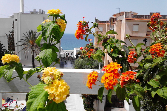 Hotel Alceste - photo 7