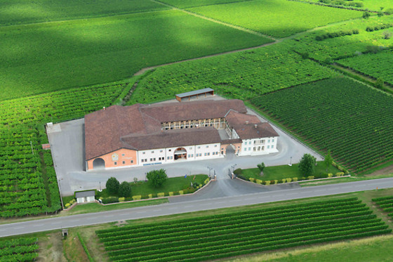 Azienda Agricola Ca' Rugate - photo 5
