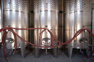 Visita alla cantina e degustazione di vini presso Cantina Castello in provincia di Verona