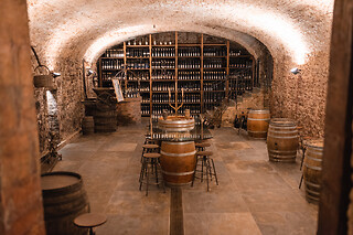 Visita alla cantina e degustazione di vini presso Cantina Castello in provincia di Verona