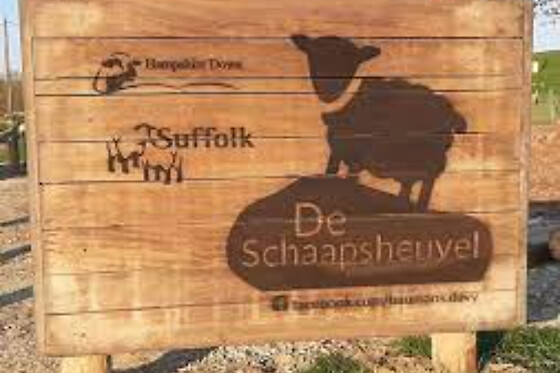 De Schaapsheuvel - photo 0