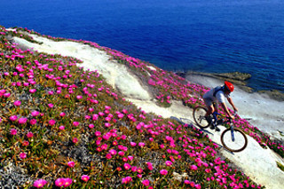 Attività sportiva all'Isola d'Elba presso Il Viottolo Trekking