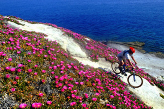 Attività sportiva all'Isola d'Elba presso Il Viottolo Trekking