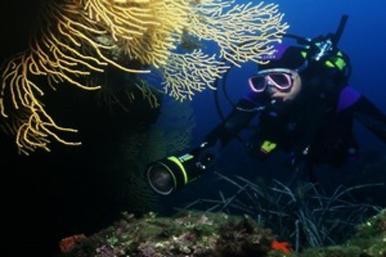 Aquatic Rando - photo 30