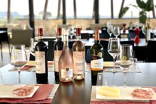 Visita alla cantina con degustazione di vini presso Azienda Vinicola Valetti in provincia di Verona