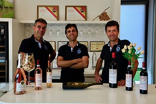 Visita alla cantina con degustazione di vini presso Azienda Vinicola Valetti in provincia di Verona