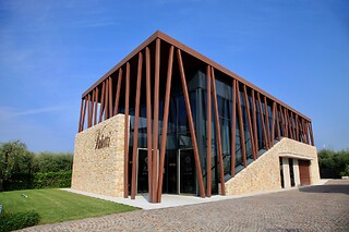 Visita alla cantina con degustazione di vini presso Azienda Vinicola Valetti in provincia di Verona
