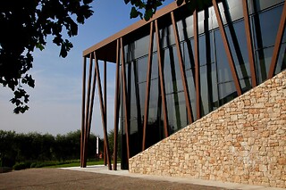 Visita alla cantina con degustazione di vini presso Azienda Vinicola Valetti in provincia di Verona