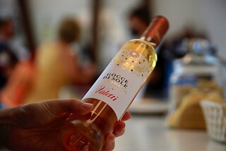 Visita alla cantina con degustazione di vini presso Azienda Vinicola Valetti in provincia di Verona