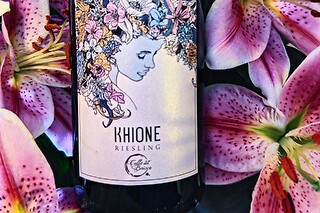 Visita alla cantina e ai vigneti con degustazione di vini presso Az. agricola Colle del Bricco in provincia di Pavia