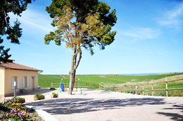 Re Umberto B&B