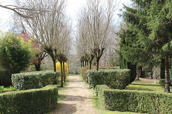 Auberge de la Tomette - photo 17