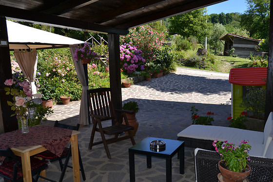 Agriturismo Il Montale - photo 4