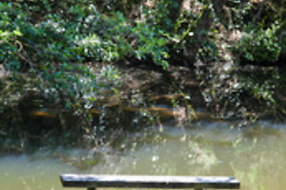 Camping Cœur d' Ardèche