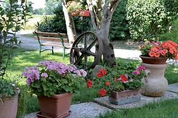L'ALVEARE Foresteria Lombarda
