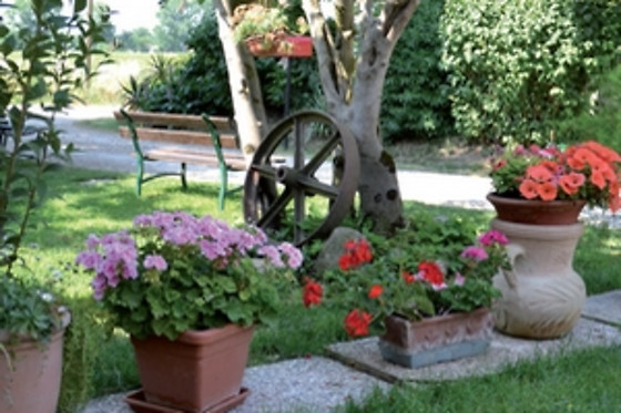 L'ALVEARE Foresteria Lombarda - photo 3