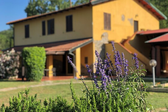 Agriturismo Santa Lorica - photo 3