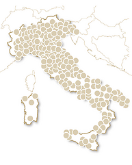 Buon Compleanno