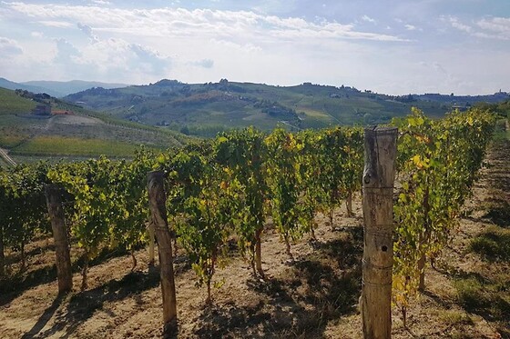 Agriturismo Vecchio Torchio - photo 1