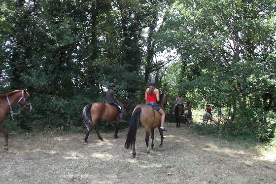 Un Poney, une histoire - photo 4
