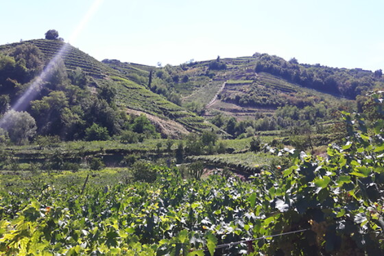 Società Agricola Casarotto - photo 0
