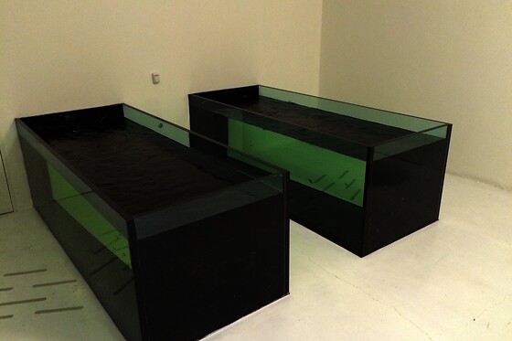 Fish Manicure presso Spazio Garrarufa a Modena