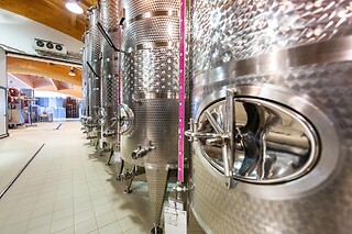 Visita della cantina con degustazione guidata di vini presso La Tordera in provincia di Treviso