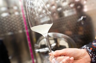 Visita della cantina con degustazione guidata di vini presso La Tordera in provincia di Treviso